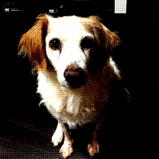 ちょっと前だったんかな…